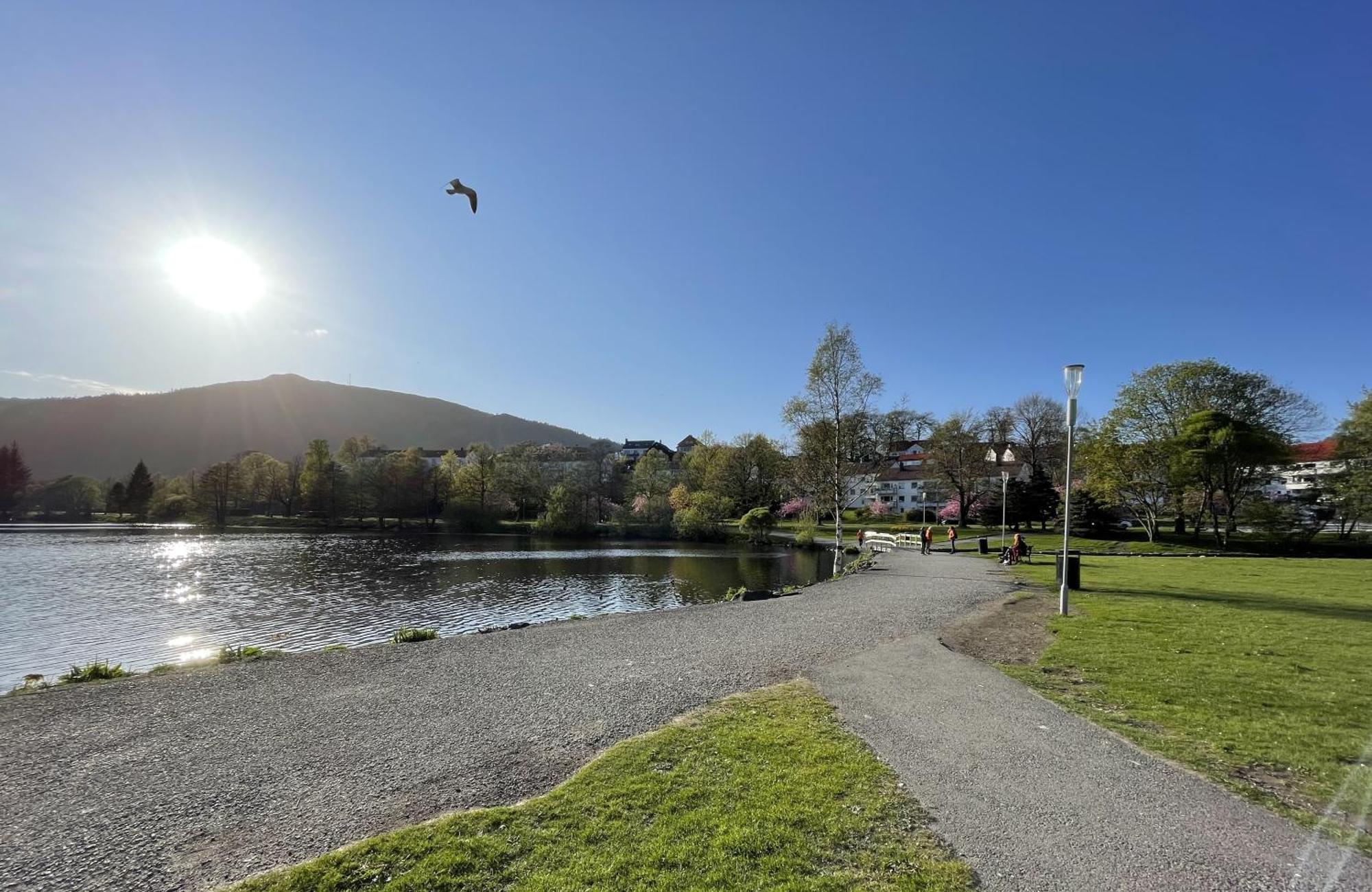3 Sleeping Rooms For 82M2 Which Direct Traffic To Airport And City Center Bergen Exterior photo