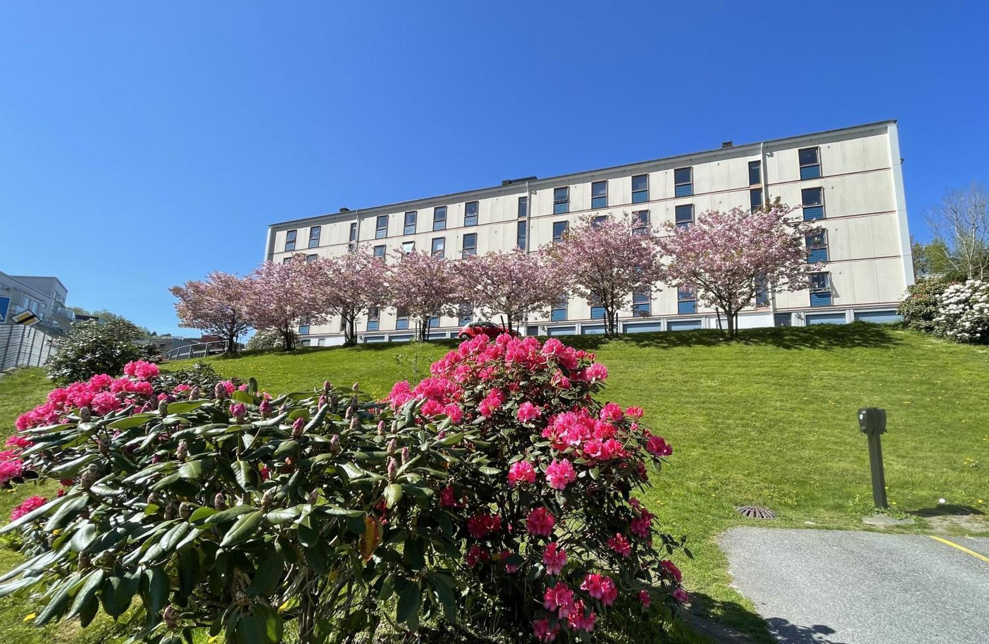 3 Sleeping Rooms For 82M2 Which Direct Traffic To Airport And City Center Bergen Exterior photo